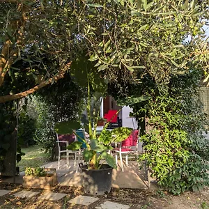 Villa La Maison Sous L'olivier, Morieres-les-Avignon